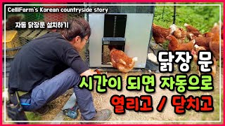 닭 방목 필수 아이템 자동 닭장문 설치해 봤어요 첼리팜 시골이야기 CelliFarm's Korean coun…