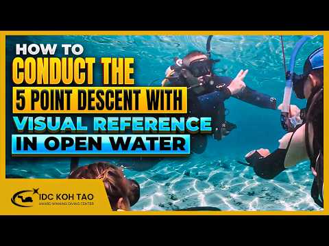 ⬇️ How to Conduct the Five Point Descent with Visual Reference on a descent line Open Water Dive 3 🤿