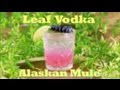How To Make Leaf Vodka's Alaskan Mule (Moscow Mule)| Drinks Made Easy
