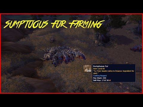World of Warcraft Sumptuous Fur Farm (Gold Guide)