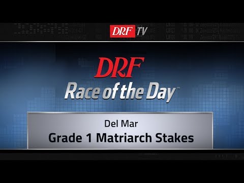 DRF Sunday Race of the Day   Matriarch Stakes 2019