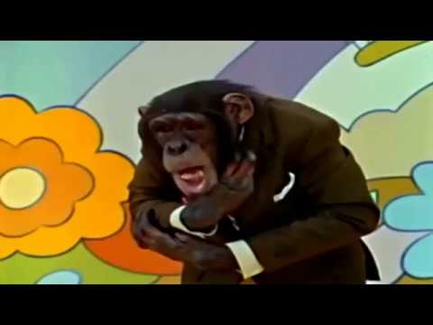 Evolution Revolution Performing Dum Dum Dee Da Lee Dee Da Lee Dum  FIXED