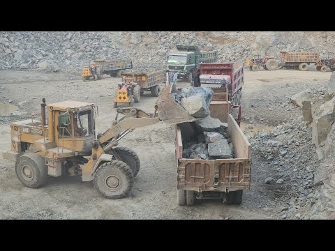 High Power CAT 966D Wheel Loader | Big Rock Loading into Massive Dump Truck | Heavy Equipment Action