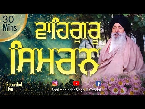 WAHEGURU SIMRAN | 30 Mins | Bhai Harjinder Singh Ji Srinagar Wale #meditation  #waheguru #sleep