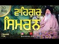 WAHEGURU SIMRAN 30 Mins Bhai Harjinder Singh Ji Srinagar Wale Meditation Waheguru Sleep