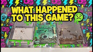 This Might Be the Grossest Video Game I’ve Ever Touched