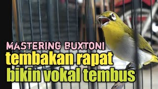 Download lagu MASTERING PLECI BUXTONI TEMBAKAN RAPAT NGOTOT mp3