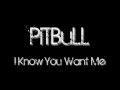 Pitbull I Know You Want Me With Lyrics 