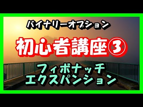 フィボナッチの言葉について詳しく解説