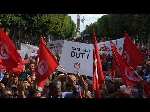 تونس قوى سياسية معارضة تتظاهر ضد غلاء المعيشة ولمقاطعة الانتخابات التشريعية • فرانس 24 FRANCE 24