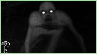 What If The Rake Was Real?