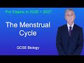 GCSE Biology Revision The Menstrual Cycle