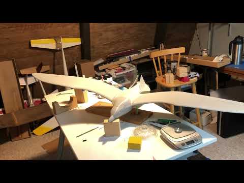 3D Seagull from Plane Print.