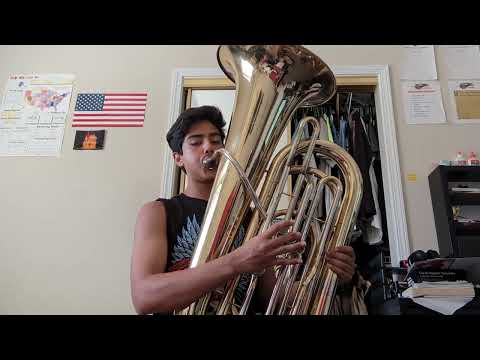 Stitches by Shawn Mendes (Tuba Cover)