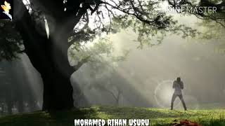 UU Status NO 65