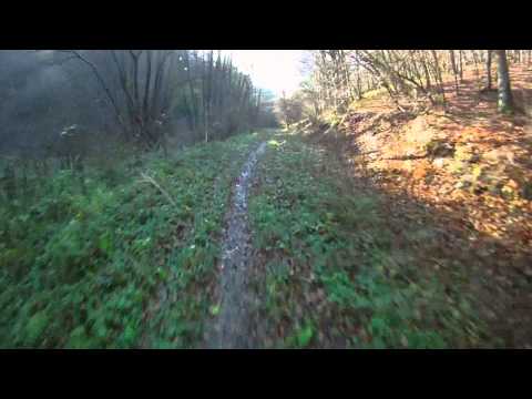 Tour durch den Nationalpark Eifel, Vogelsang - Urftsee - Gemünd