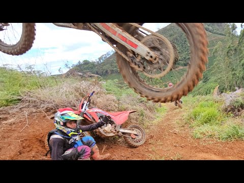 Part 2 do trilhão de orizania mg