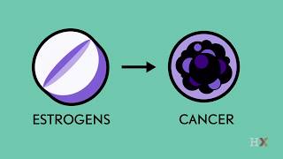 Estrogens and uterine cancer