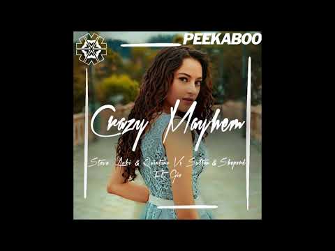 Steve Aoki & Quintino vs. Sultan & Shepard ft. Gia - Crazy Mayhem (Peekaboo Mashup)