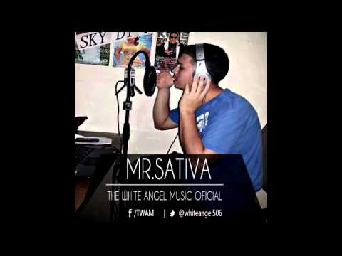 Mr Sativa Ft Perro - Ella No Te Quiere ( Killer Songs Records )