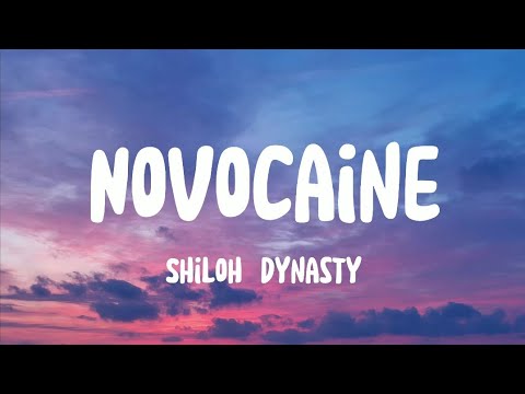 Shiloh Dynasty - Novocaine (Lyrics) slowed  reverb