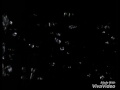 Dolby Rain Logos
