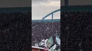 Download lagu Psywar dari BCS untuk Arema#brigatacurvasud #psssleman #pssday mp3 Download lagu Psywar dari BCS untuk Arema#brigatacurvasud #psssleman #pssday mp3