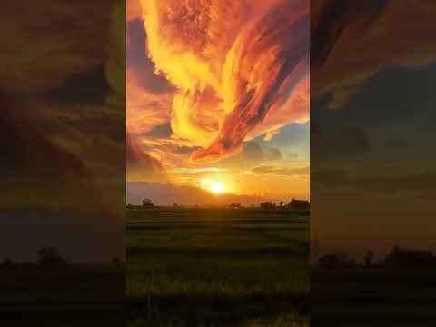 the most beautiful sunset ever🌄