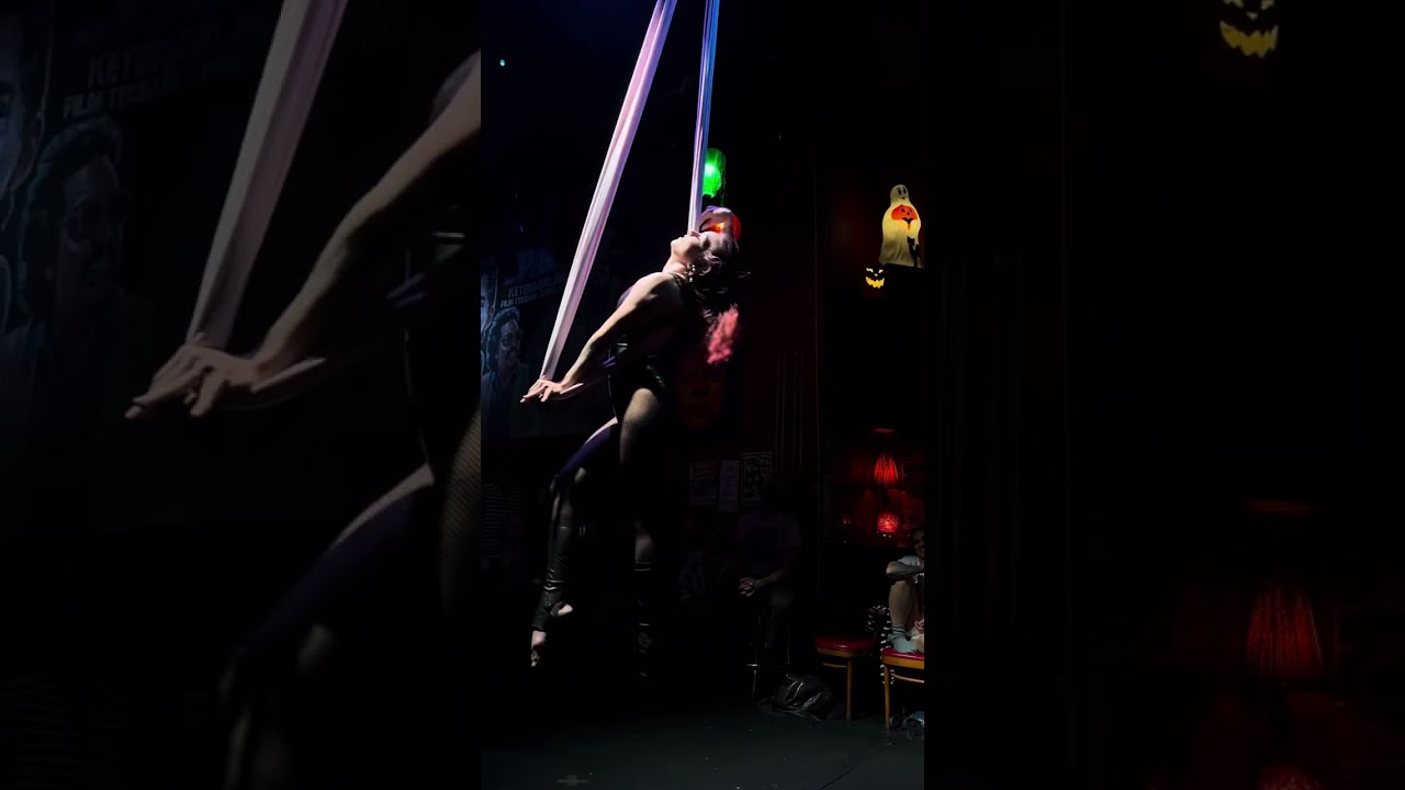 Promotional video thumbnail 2 for Aerial Entertainer