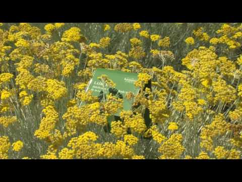 ODDAJA ZA ZDRAVJE   JUNIJ  2016   SKRB ZA DOBRO POČUTJE   HOTEL DELFIN IZOLA