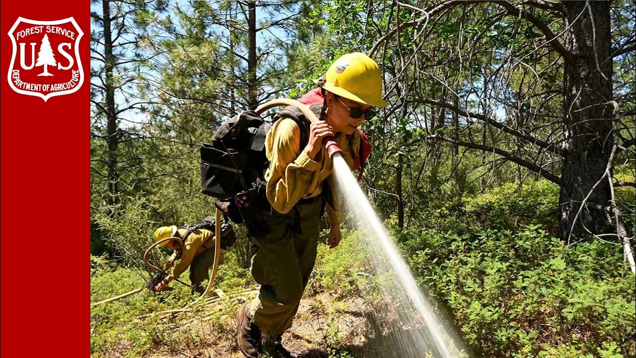 The Forest Service’s Wildfire Force