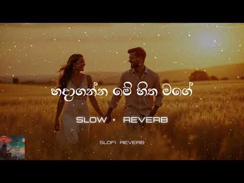 Hadaganna Me Hitha Mage | Slowed + Reverb | හදාගන්න මේ හිත මාගේ