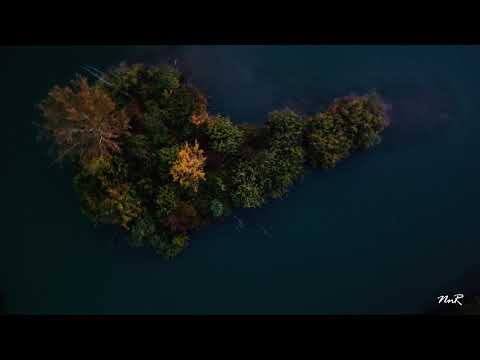 Boschi Bonola Milano