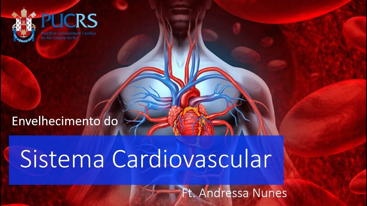 Envelhecimento Cardiovascular