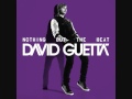 David Guetta & Nicki Minaj - Turn Me On ...