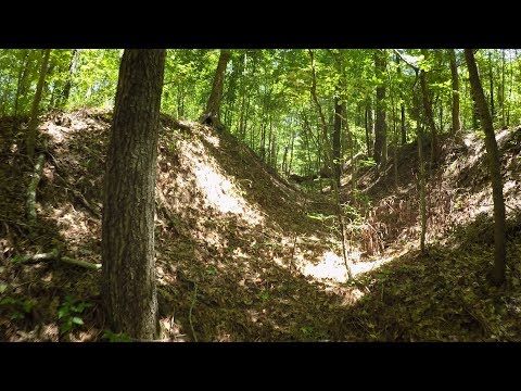 El Camino Real, Tracing a Timeless Trail