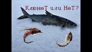 Мухи для рыбалки на кольском полуострове