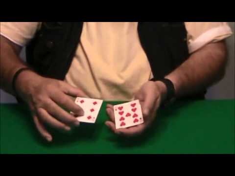 Sleights and Subtleties Vol.2 by Wild-Colombini