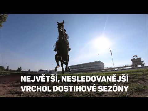 Pozvánka - 128. Velká pardubická s Českou pojišťovnou