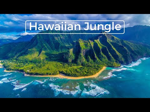 FLYING OVER KAUAI (4K) Hawaii's Garden Island | Ambient Aerial Film + Music for Stress Relief