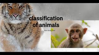 classification of animals