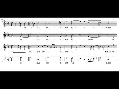 Victoria: Sancta Maria succurre miseris - Plus Ultra