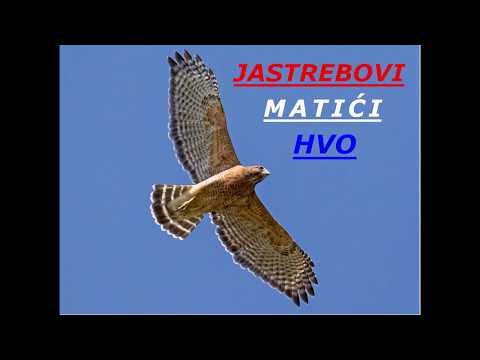 JASTREBOVI - MATIĆI [HVO 106 BRIGADA ORAŠJE]