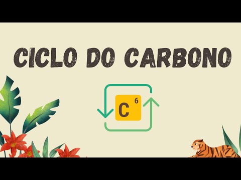 Ciclo do Carbono