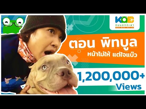 YouTube วิธีการเพื่อเพิ่มความแข็งแรง ผมเทสาวเชื้อโรค