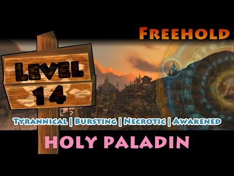 Mythic Freehold +14 - Tyrannical | Bursting | Necrotic | Awakened - Holy Paladin POV - Overtime