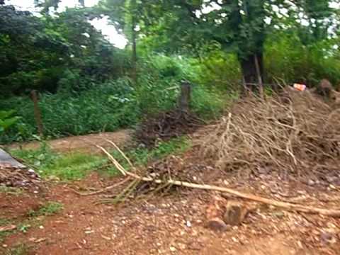 sartin family beverly