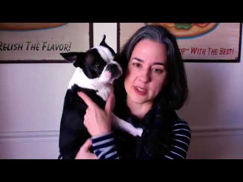 episode 209: Puffy Sleeves