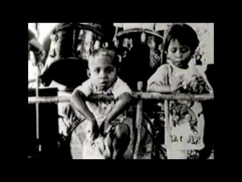 Johnny  Lipshake by Baby Fox