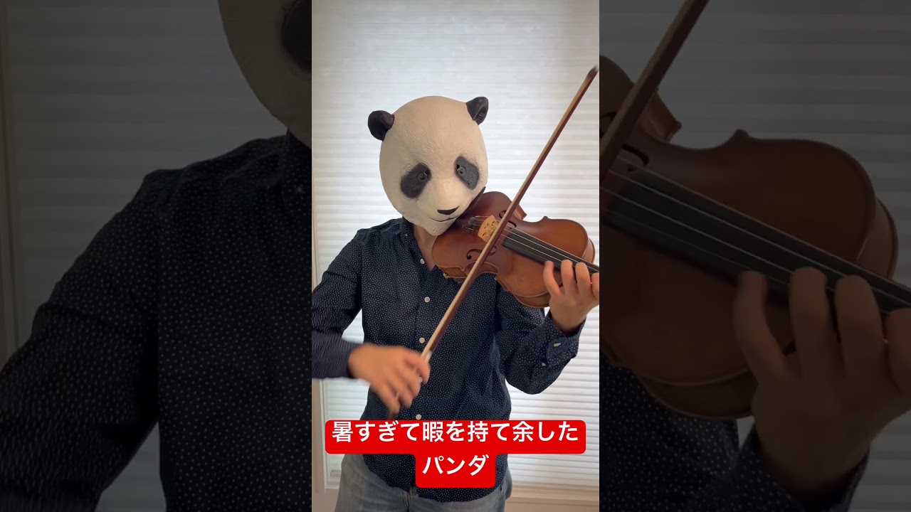 バイオリンとコップで奏でる菊次郎の夏よりSummer